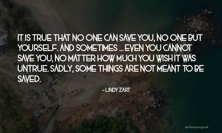 Things That Are Not Meant To Be Quotes By Lindy Zart