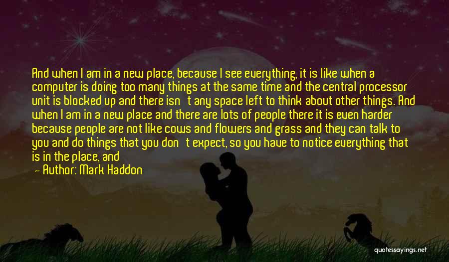 Things That Are Not Meant To Be Quotes By Mark Haddon