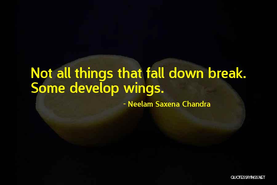 Things That Break Quotes By Neelam Saxena Chandra Things That Break Quotes By Neelam Saxena Chandra