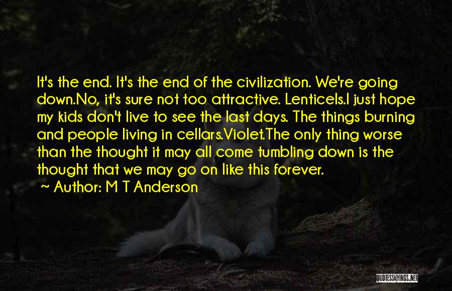 Things That Don't Last Forever Quotes By M T Anderson
