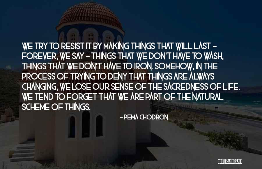 Things That Don't Last Forever Quotes By Pema Chodron