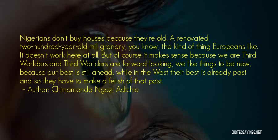 Things That Don't Make Sense Quotes By Chimamanda Ngozi Adichie