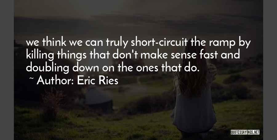 Things That Don't Make Sense Quotes By Eric Ries