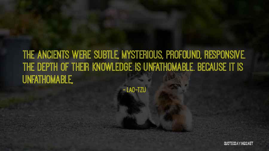 Things That Make Greta Go Squee Quotes By Lao-Tzu
