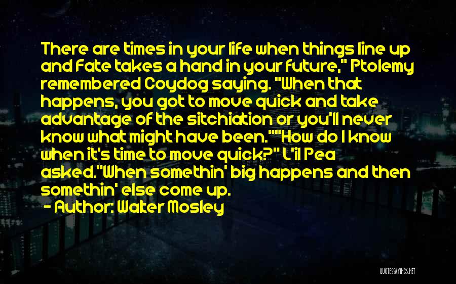 Things That Take Time Quotes By Walter Mosley