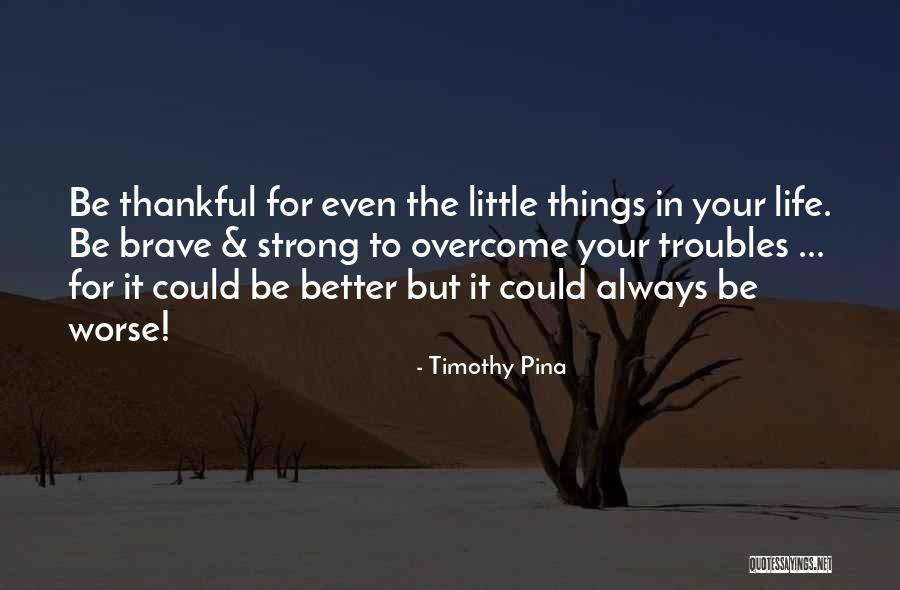 Things To Be Thankful Quotes By Timothy Pina Things To Be Thankful Quotes By Timothy Pina