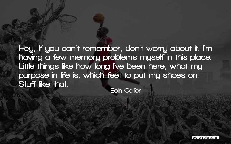 Things To Remember In Life Quotes By Eoin Colfer Things To Remember In Life Quotes By Eoin Colfer
