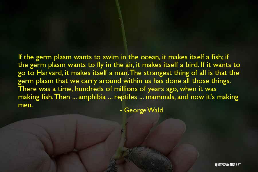 Things We Carry Quotes By George Wald Things We Carry Quotes By George Wald