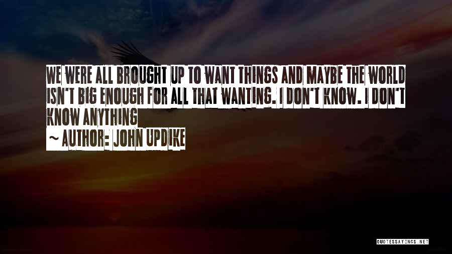 Things We Don't Know Quotes By John Updike