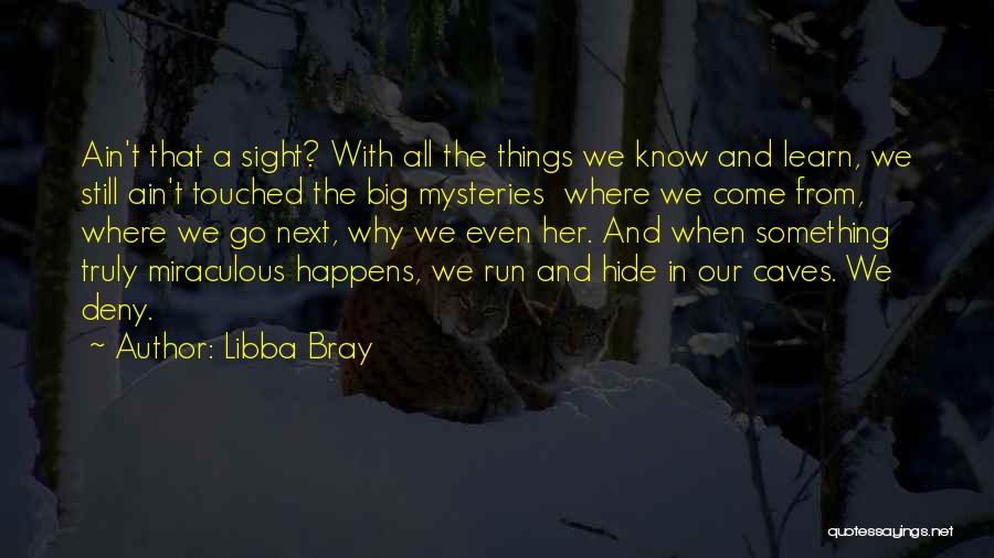 Things We Hide Quotes By Libba Bray