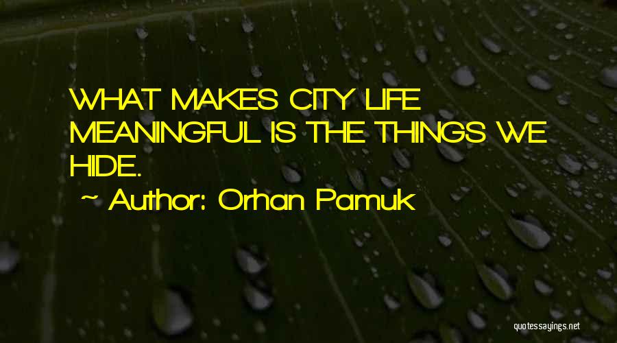 Things We Hide Quotes By Orhan Pamuk