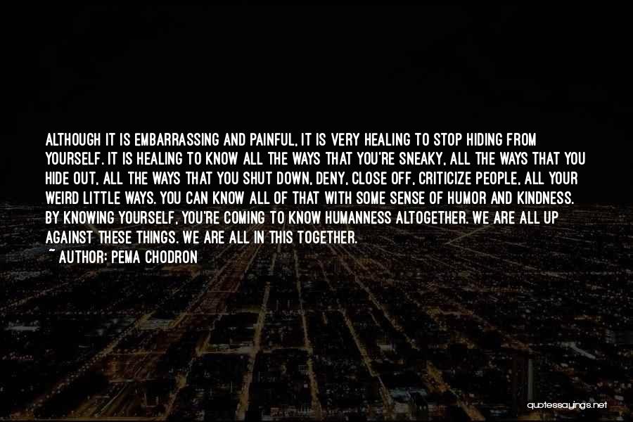 Things We Hide Quotes By Pema Chodron