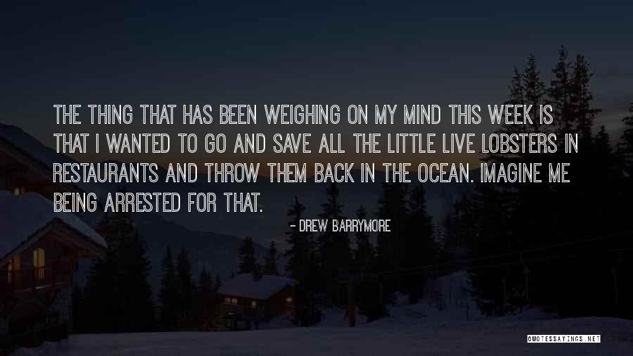 Things Weighing On Your Mind Quotes By Drew Barrymore