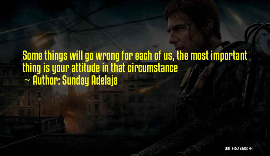 Things Will Go Wrong Quotes By Sunday Adelaja