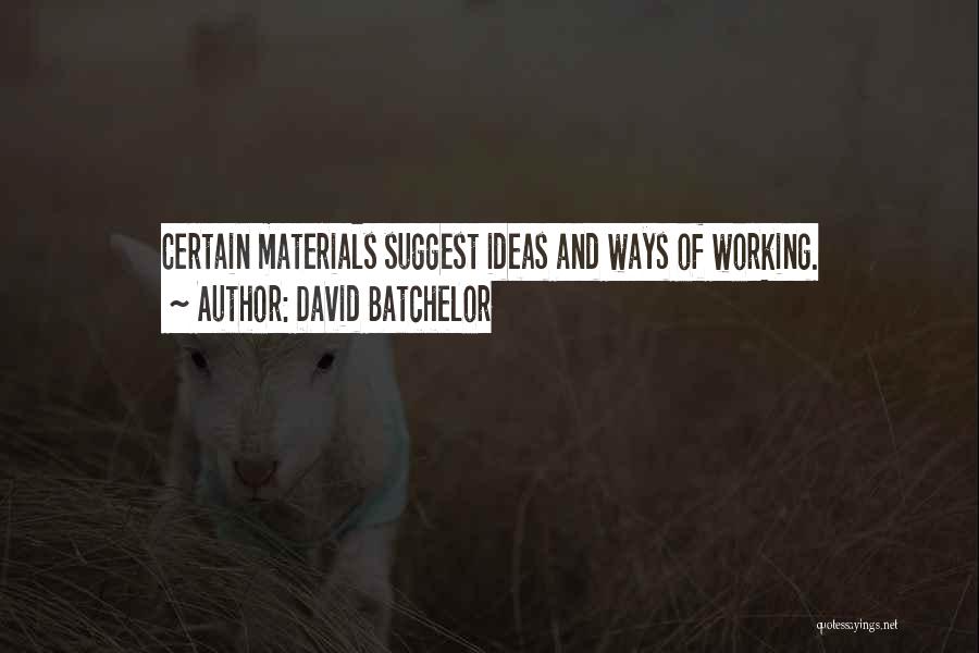 Things Working Both Ways Quotes By David Batchelor