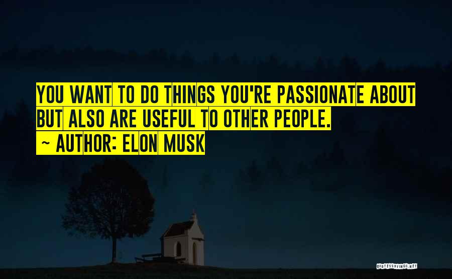 Things You Are Passionate About Quotes By Elon Musk