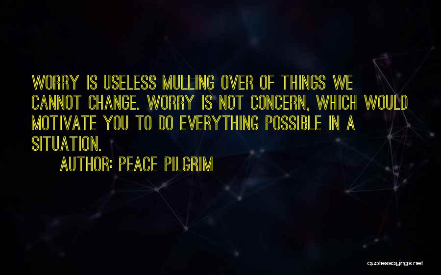 Things You Cannot Change Quotes By Peace Pilgrim