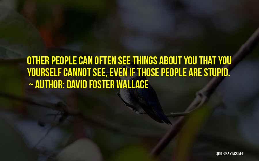 Things You Cannot See Quotes By David Foster Wallace