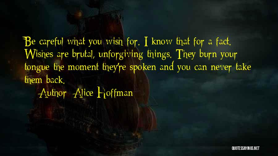 Things You Can't Take Back Quotes By Alice Hoffman