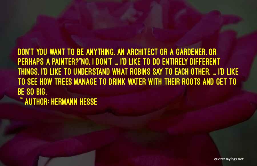 Things You Don't Want To Do Quotes By Hermann Hesse