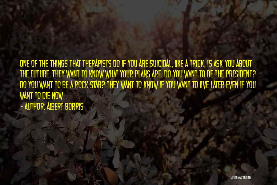 Things You Like Quotes By Albert Borris