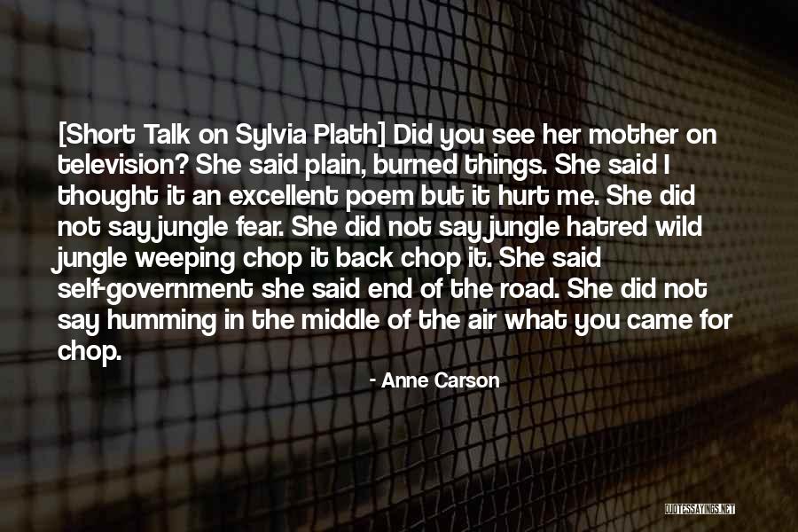 Things You Say Hurt Quotes By Anne Carson Things You Say Hurt Quotes By Anne Carson
