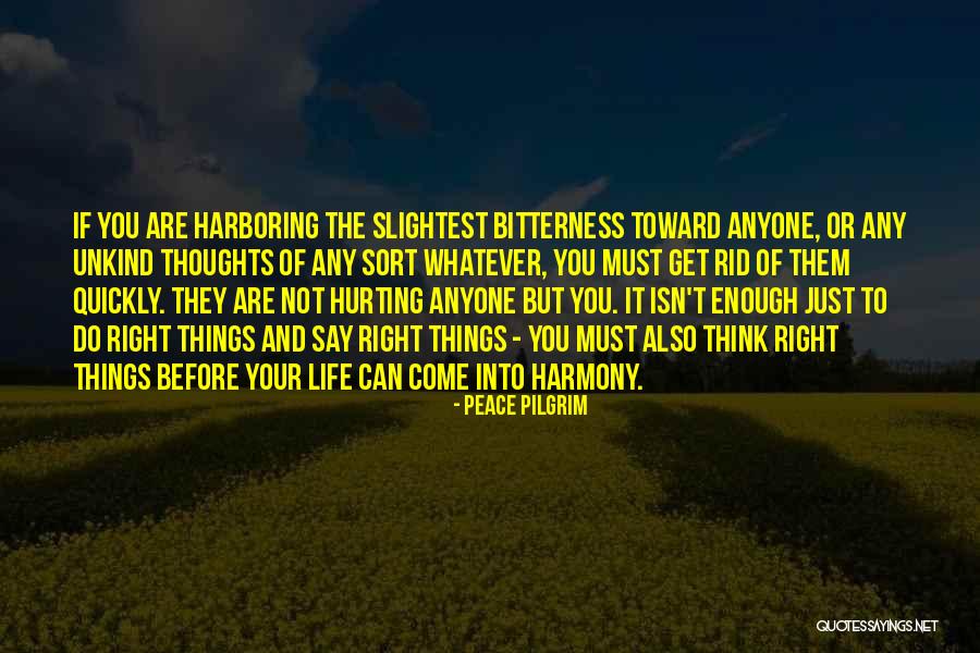 Things You Say Hurt Quotes By Peace Pilgrim Things You Say Hurt Quotes By Peace Pilgrim