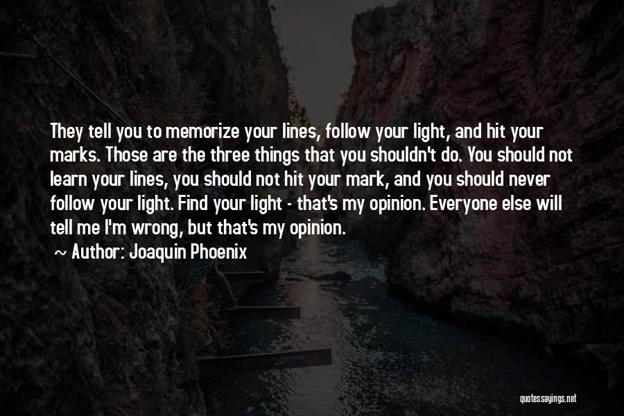 Things You Shouldn't Do Quotes By Joaquin Phoenix