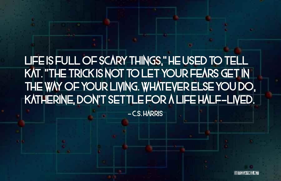 Things You Used To Do Quotes By C.S. Harris