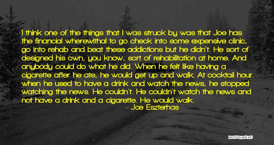 Things You Used To Do Quotes By Joe Eszterhas