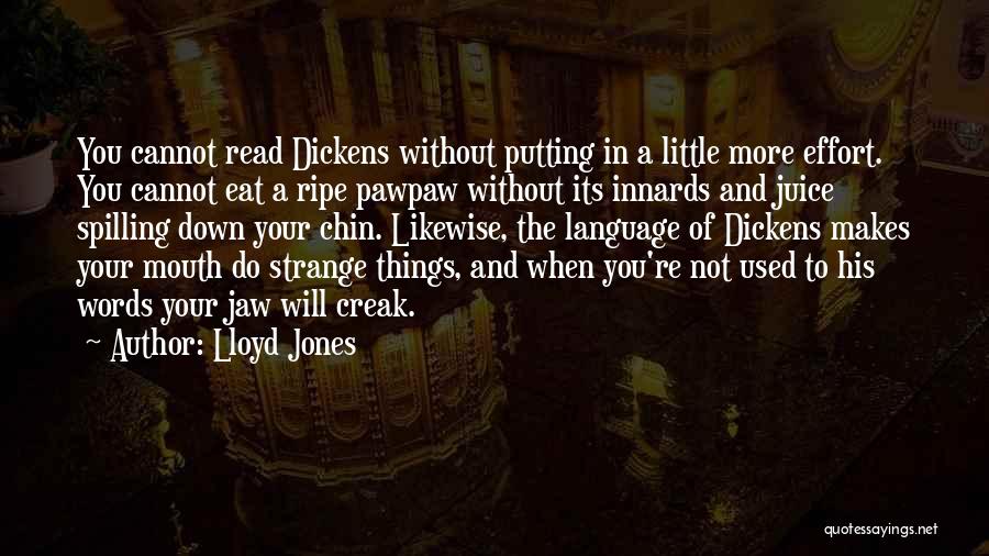 Things You Used To Do Quotes By Lloyd Jones