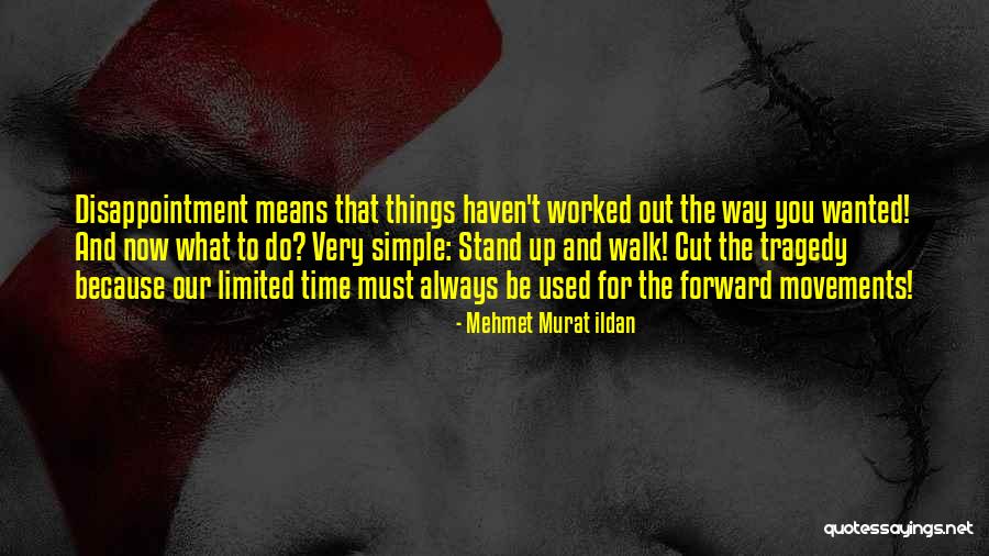 Things You Used To Do Quotes By Mehmet Murat Ildan