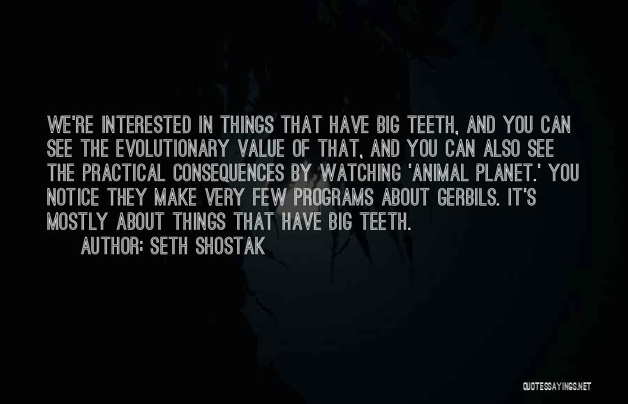 Things You Value Quotes By Seth Shostak