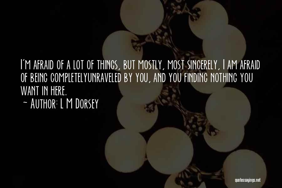 Things You Want Most Quotes By L M Dorsey