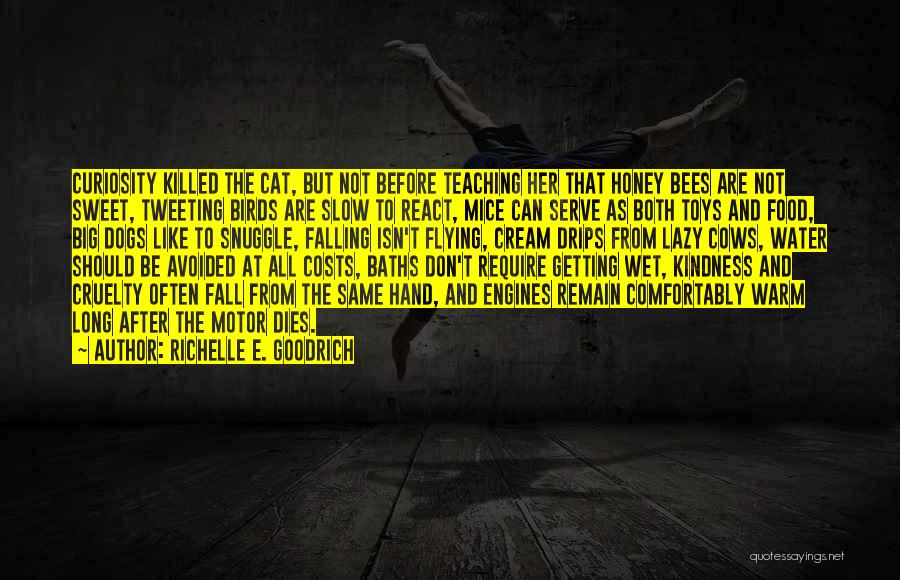 Think Before You React Quotes By Richelle E. Goodrich