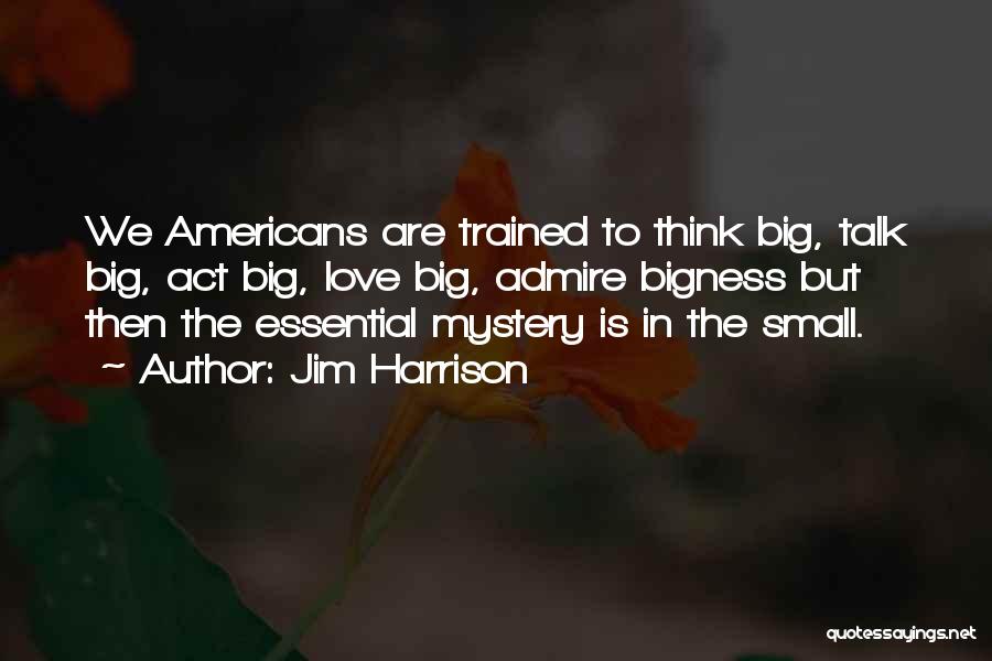 Think Big Act Small Quotes By Jim Harrison