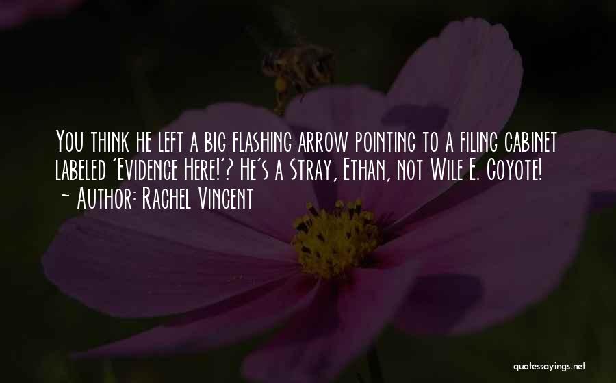 Think Big Funny Quotes By Rachel Vincent