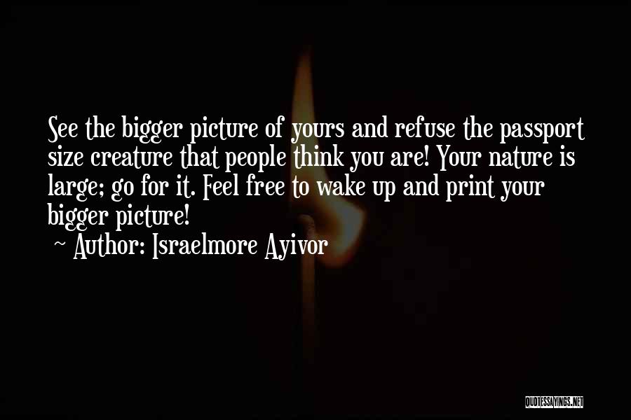 Think Big Picture Quotes By Israelmore Ayivor