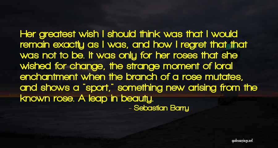 Think It Not Strange Quotes By Sebastian Barry Think It Not Strange Quotes By Sebastian Barry