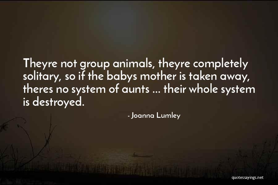 Think Theyre Quotes By Joanna Lumley Think Theyre Quotes By Joanna Lumley