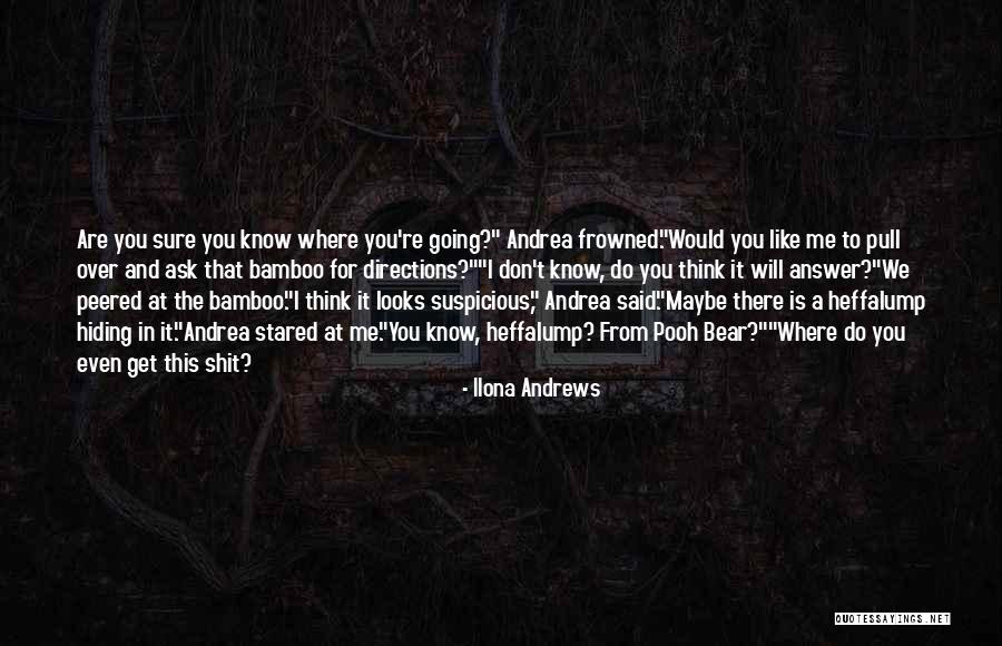 Think Think Pooh Quotes By Ilona Andrews Think Think Pooh Quotes By Ilona Andrews