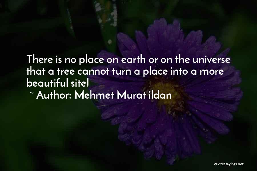 Thinkers Quotes By Mehmet Murat Ildan