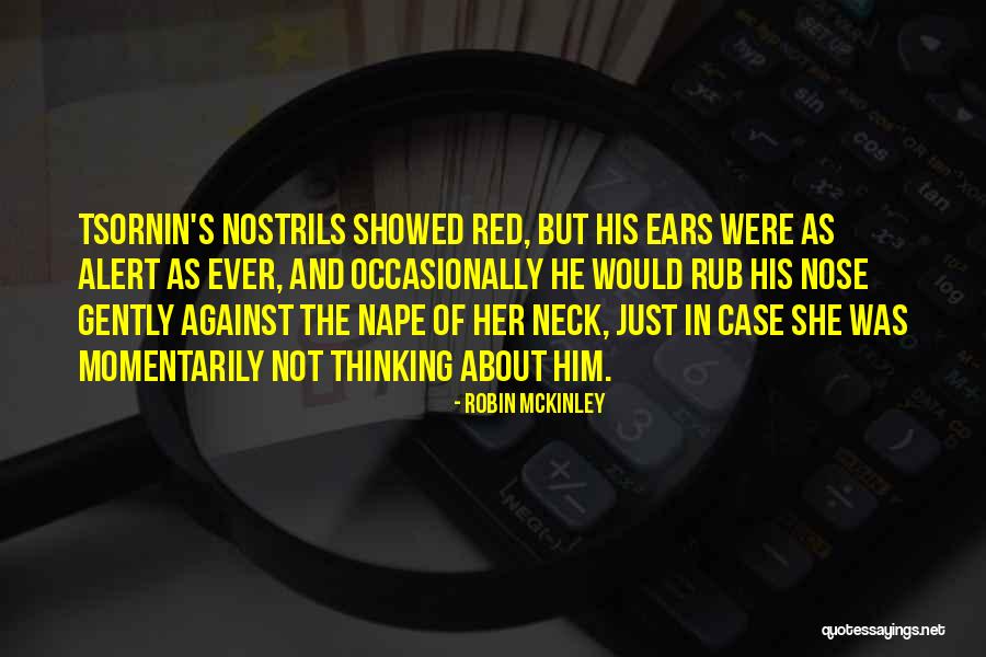 Thinking About Him Quotes By Robin McKinley