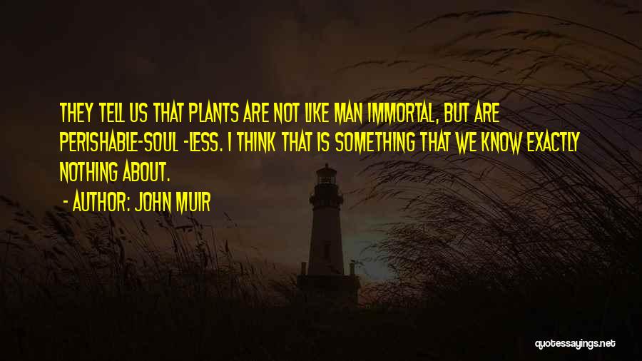 Thinking About Us Quotes By John Muir