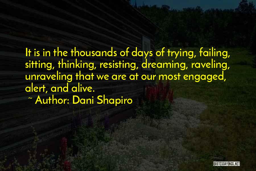 Thinking And Dreaming Quotes By Dani Shapiro