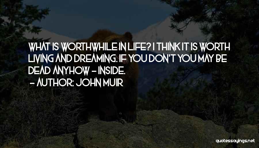 Thinking And Dreaming Quotes By John Muir