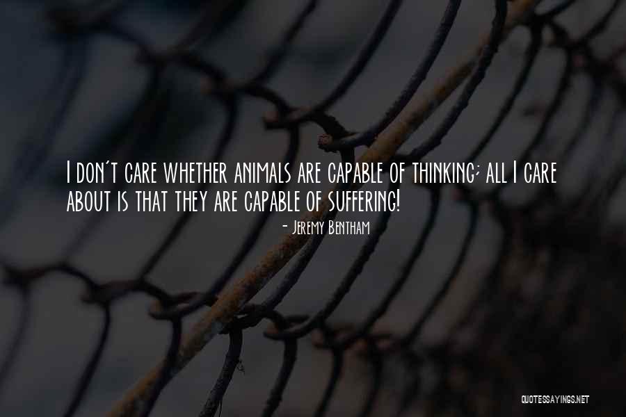Thinking Animal Quotes By Jeremy Bentham Thinking Animal Quotes By Jeremy Bentham