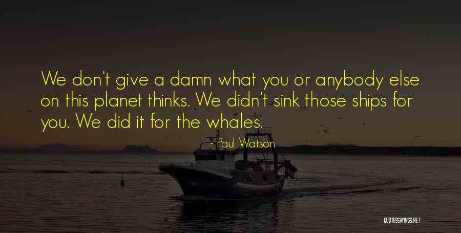 Thinking Animal Quotes By Paul Watson Thinking Animal Quotes By Paul Watson