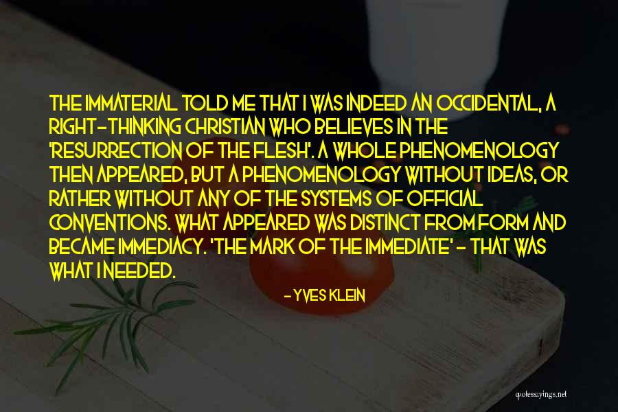 Thinking In Systems Quotes By Yves Klein Thinking In Systems Quotes By Yves Klein