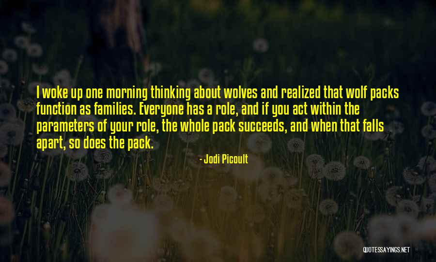 Thinking Of You Family Quotes By Jodi Picoult